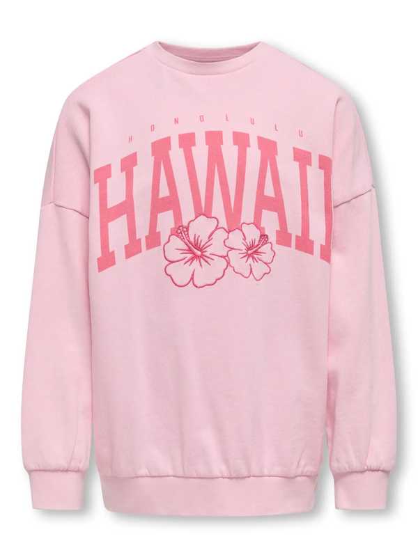 KOGANABELL LIFE L/S OVZ PRINTED CREW SWT Roseate spoonbill - Kids Only 