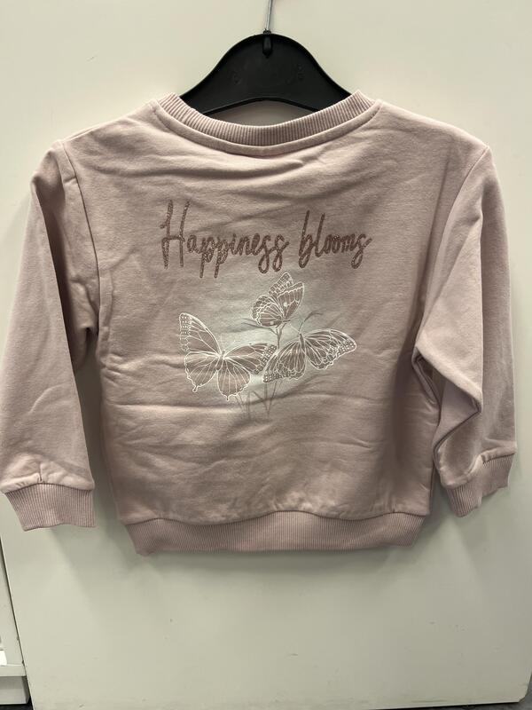 NMFLAISE NREG SWEAT BRUSH Burnished Lilac - Name It