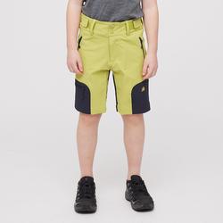 Hovde shorts Palm - Skogstad Sport