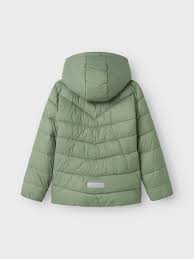 NKFMONAY JACKET PB Lily Pad - Name It