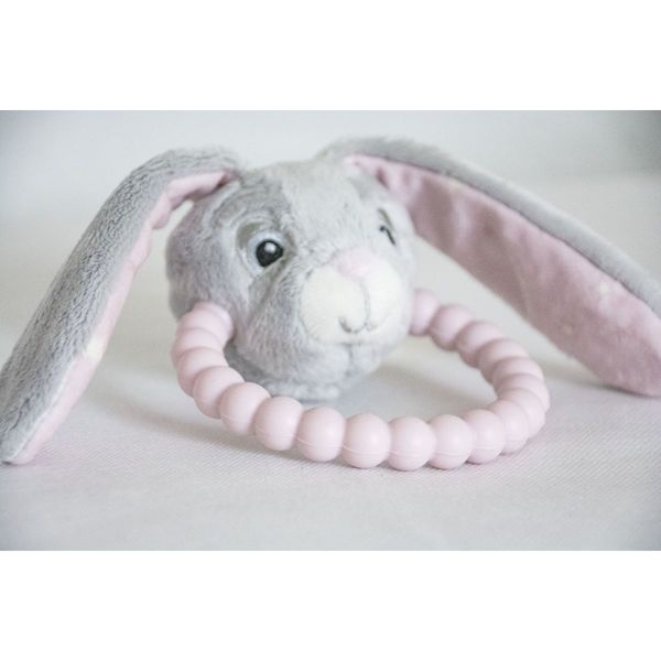 MY TEDDY RANGLE/BITERING 