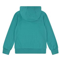 LEVIS BATWING PULLOWER HOODIE PORCECLAIN GREEN - Levis
